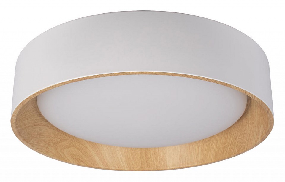 Накладной светильник Loft it Coin 10202 White | Loft it LF10202White