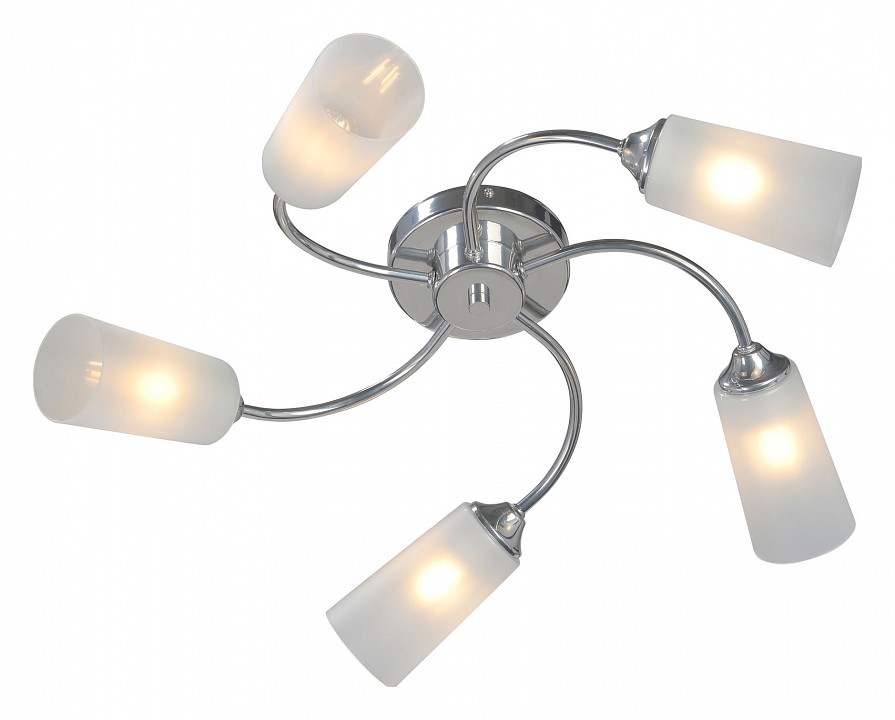 Потолочная люстра Vitaluce V2831 V2831-9/5PL | Vitaluce VIV2831-95PL