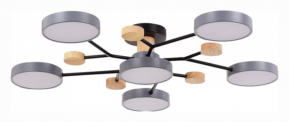 Потолочная люстра EVOLUCE Faema SLE6006-702-06 | EVOLUCE EVOSLE6006-702-06