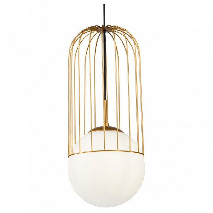 Подвесной светильник Maytoni Telford P363PL-01G | Maytoni MYP363PL-01G