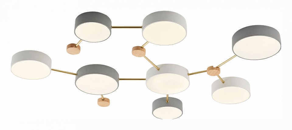 Накладной светильник EVOLUCE Dossena SLE600102-08 | EVOLUCE EVOSLE600102-08