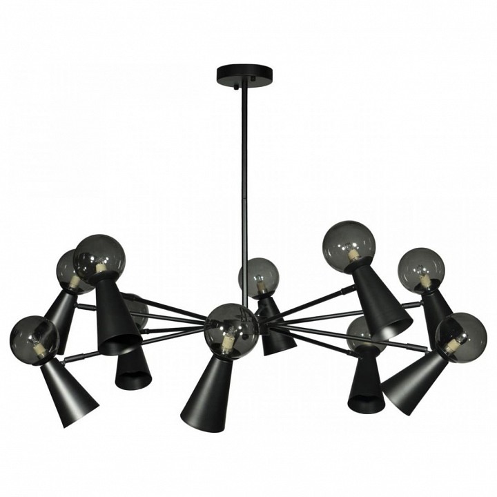 Светильник на штанге Loft it Halley 10046/10 Black | Loft it LF1004610Black