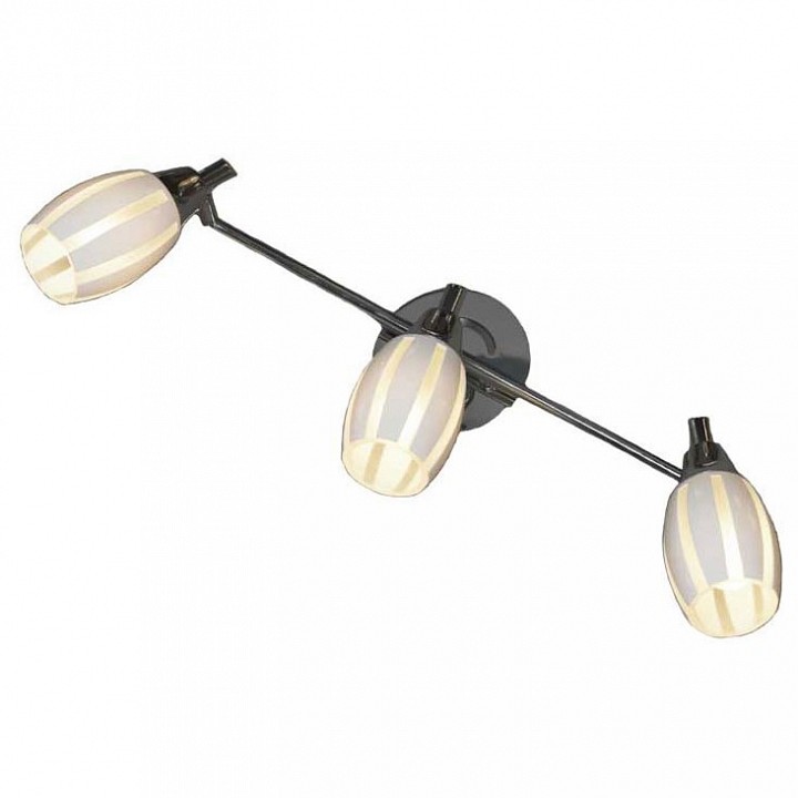 Спот Lussole Brindidi GRLSX-6701-03 | Lussole GRLSX_6701_03