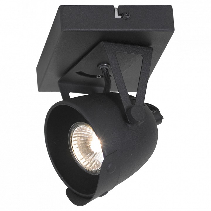 Спот Lussole Montgomery GRLSP-9505 | Lussole GRLSP-9505