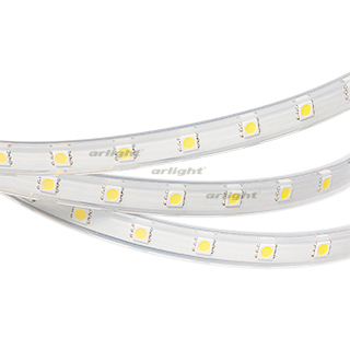 Лента ARL-W5060PG-50-220V Cool 9000K (500 LED, 10m) (Arlight, Герметичный) | Arlight 019670