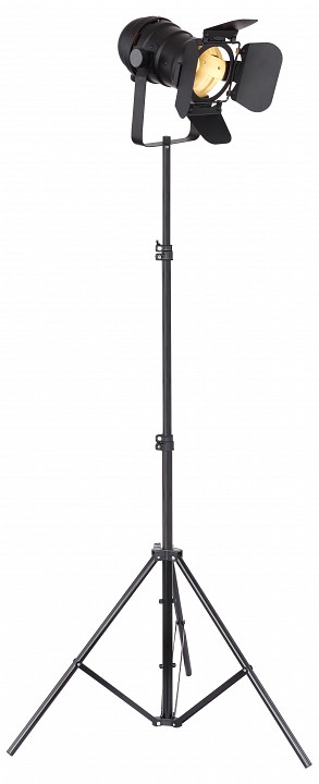 Торшер Globo Egon 54650-1SB | Globo GB54650-1SB