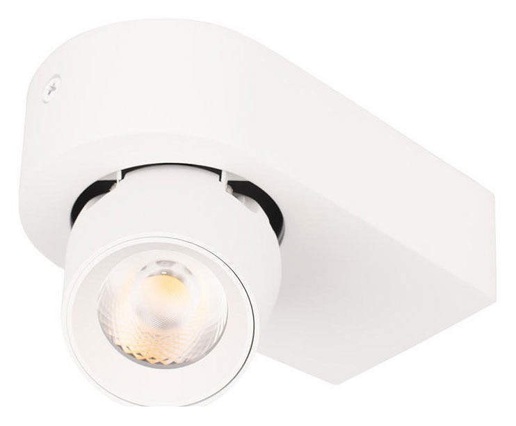 Накладной светильник Loft it Quiet 10320 White | Loft it LF10320White