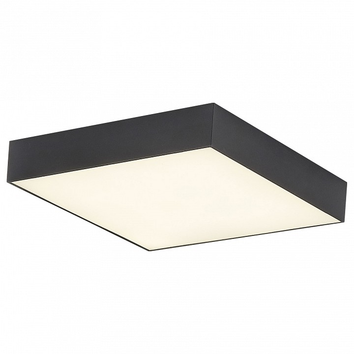 Накладной светильник Citilux Тао CL712X242N | Citilux CL712X242N