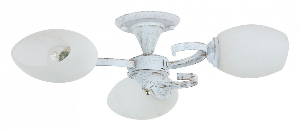 Люстра на штанге Rivoli Vitto Б0044464 | Rivoli RVLB0044464