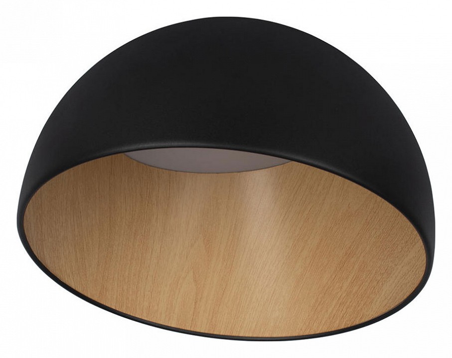 Накладной светильник Loft it Egg 10197/350 Black | Loft it LF10197350Black