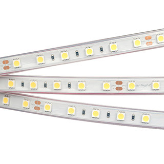 Лента RTW 2-5000P 24V White6000 2x (5060, 300 LED, LUX) (Arlight, 14.4 Вт/м, IP66) | Arlight 010357