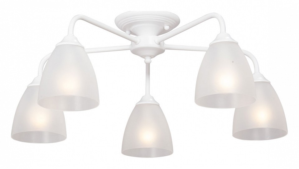 Потолочная люстра Vitaluce  V3946-0/5PL | Vitaluce VIV3946-05PL