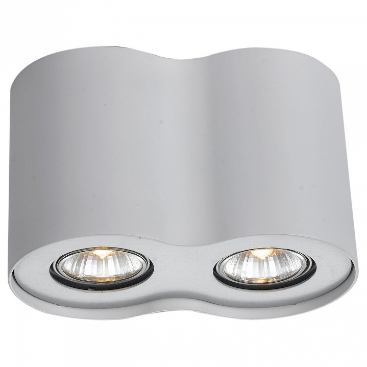 Накладной светильник Arte Lamp Falcon A5633PL-2WH | Arte Lamp ARA5633PL_2WH
