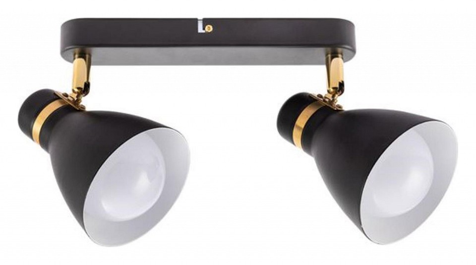 Спот Arte Lamp Fafnir A5047PL-2BK | Arte Lamp ARA5047PL-2BK