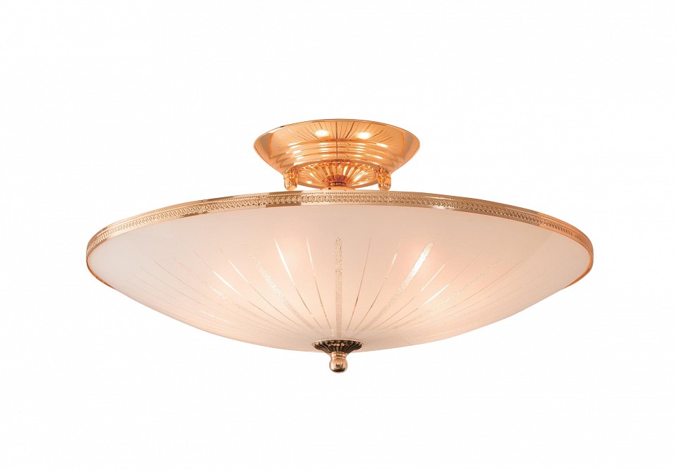 Светильник на штанге Citilux CL912 CL912121 | Citilux CL912121