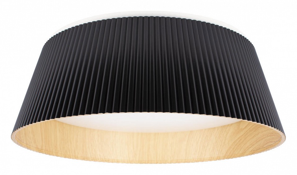 Накладной светильник Loft it Evans 10224 Black | Loft it LF10224Black