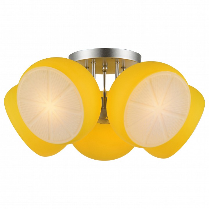 Потолочная люстра ST-Luce Arancio SL482.902.05 | ST-Luce SL482.902.05