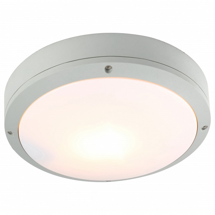 Накладной светильник Arte Lamp City A8154PF-2GY | Arte Lamp ARA8154PF_2GY
