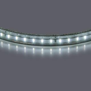 402034 Лента 220V LED 3014/120Р 10мм 10-12Lm/LED White 100m/box 4200-4500K НЕЙТРАЛЬНЫЙ БЕЛЫЙ ЦВЕТ | Lightstar LS402034