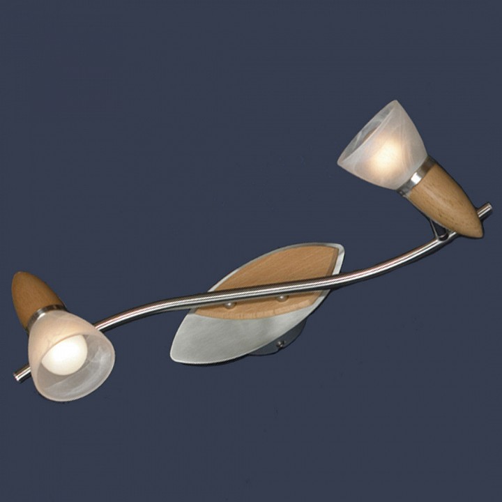 Спот Lussole Cisterino LSQ-6411-02 | Lussole LSQ_6411_02