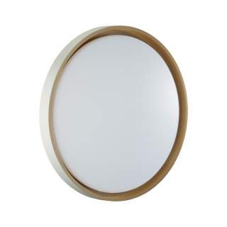 7645/DL COLOR SN 158 Светильник пластик/белый/оранжевый LED 48Вт 4000К D415 IP43 KISIL | Sonex SN7645/DL