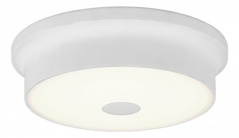 Накладной светильник Citilux Фостер CL706210 | Citilux CL706210