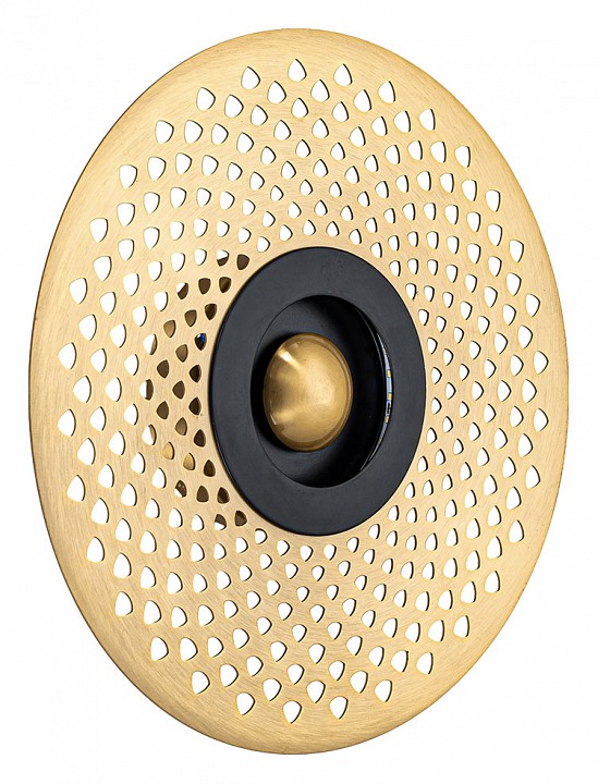 Накладной светильник Arte Lamp Biscotto A2642AP-1GO | Arte Lamp ARA2642AP-1GO
