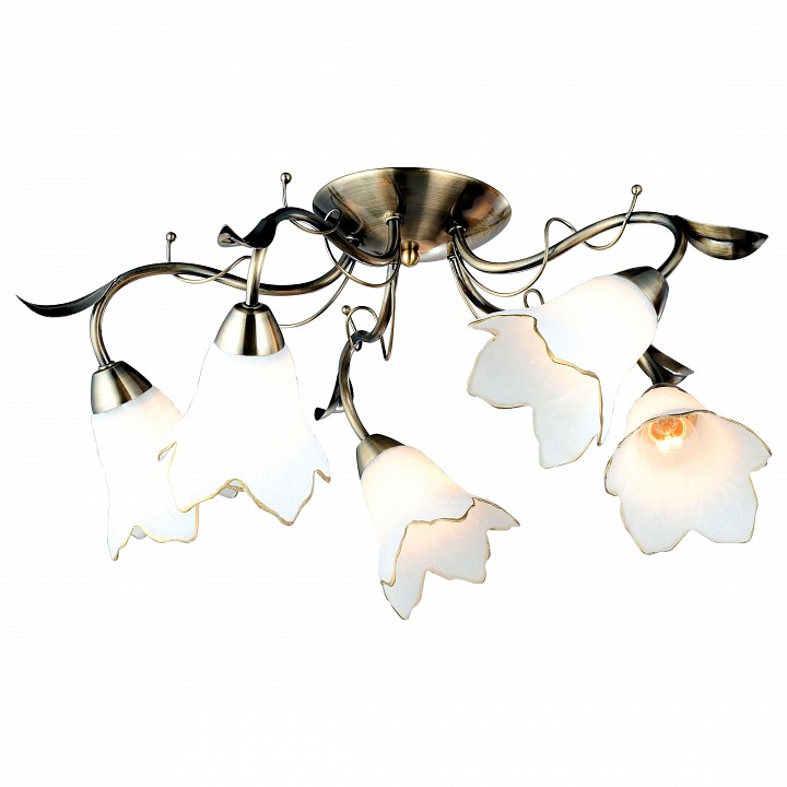 Потолочная люстра Arte Lamp Barbara A6066PL-5AB | Arte Lamp ARA6066PL_5AB