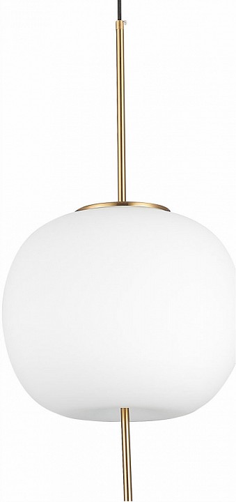 Подвесной светильник ST-Luce Lacus SL1621.213.01 | ST-Luce SL1621.213.01