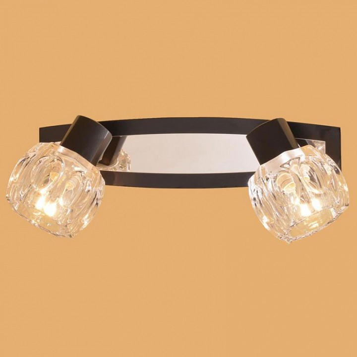 Спот Citilux Ровер CL530521 | Citilux CL530521