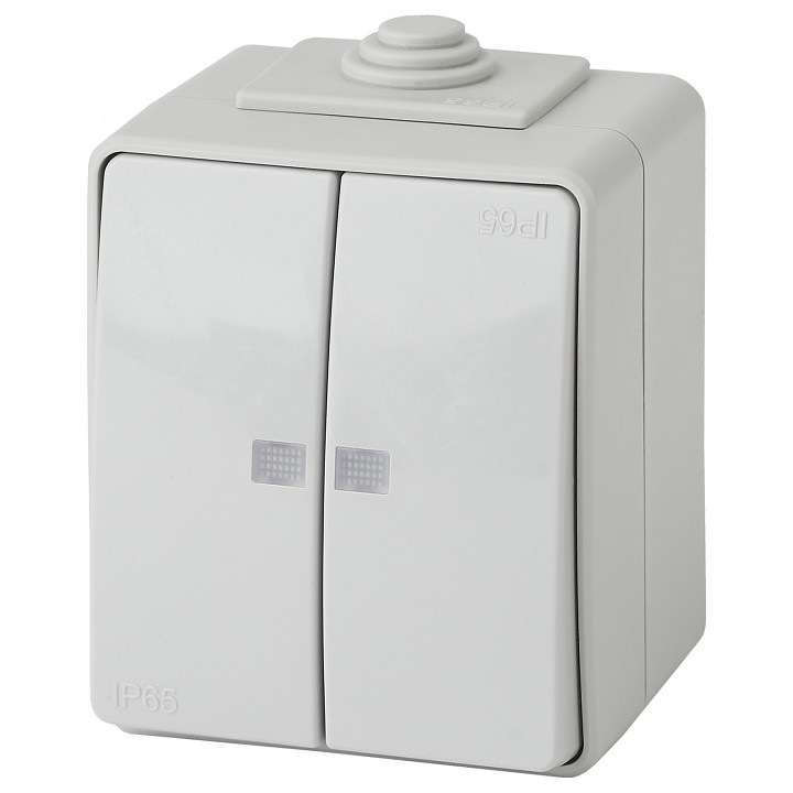 Выключатель двухклавишный с подсветкой Эра Эра Эксперт 11-1605-03 | Эра ERB0035977