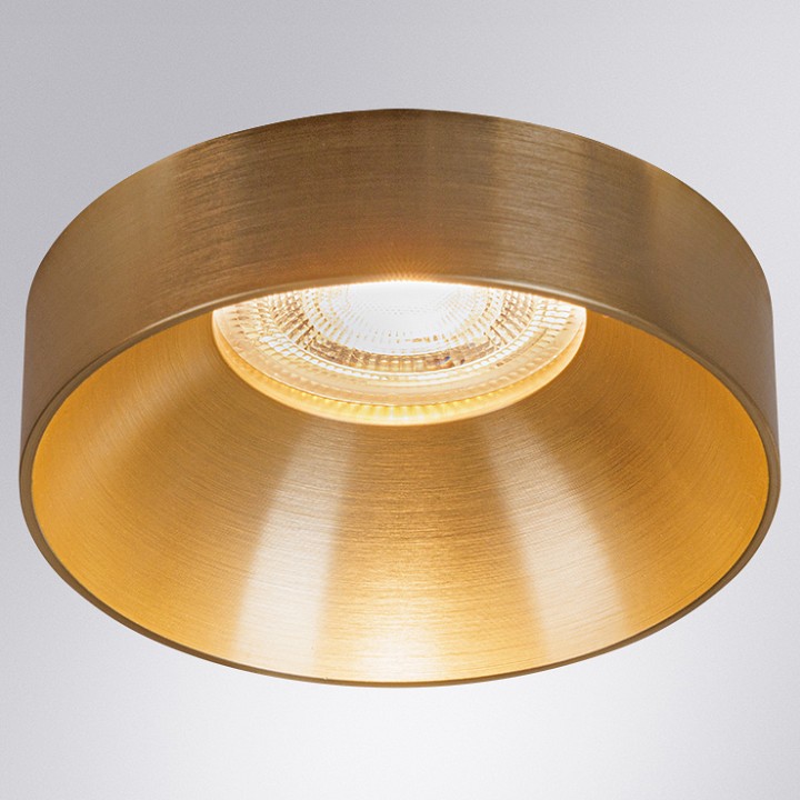 Накладной светильник Arte Lamp Ramo A1240PL-1SG | Arte Lamp ARA1240PL-1SG