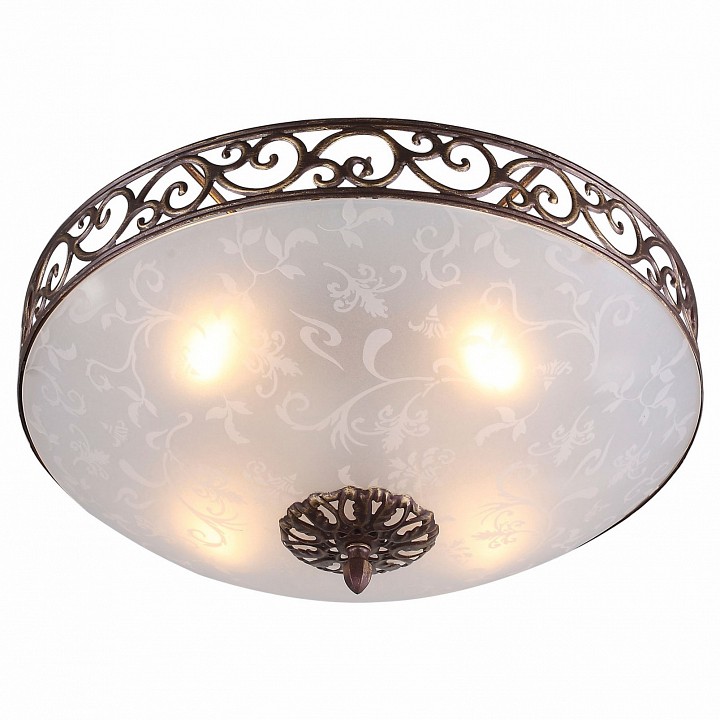 Накладной светильник ST-Luce SL244 SL244.202.04 | ST-Luce SL244.202.04