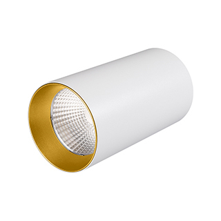 Светильник SP-POLO-SURFACE-R85-15W White5000 (WH-GD, 40 deg) (Arlight, IP20 Металл) | Arlight 027523