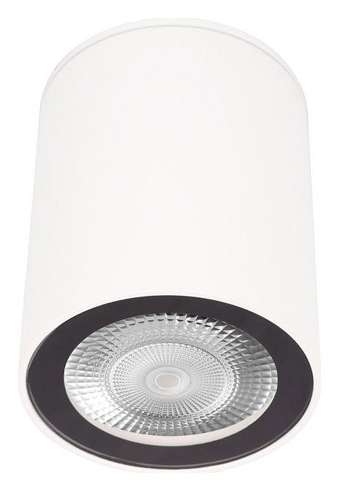Накладной светильник Loft it Rush 10344 White | Loft it LF10344White