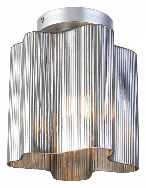 Накладной светильник ST-Luce Onde SL117.702.01 | ST-Luce SL117.702.01