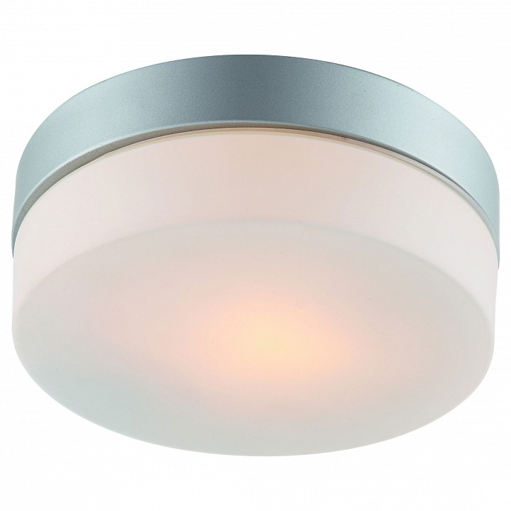 Накладной светильник Arte Lamp Aqua A3211PL-1SI | Arte Lamp ARA3211PL_1SI
