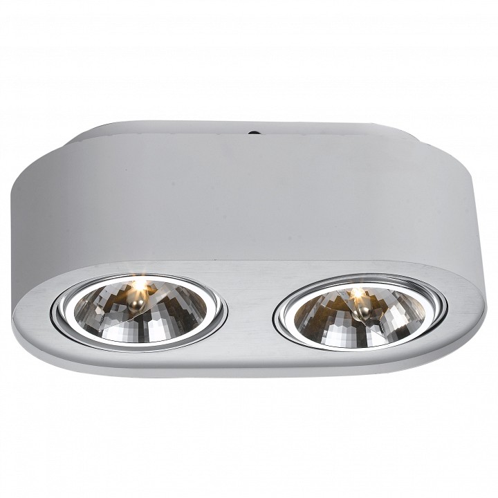 Накладной светильник Arte Lamp Cliff A5643PL-2WH | Arte Lamp ARA5643PL_2WH