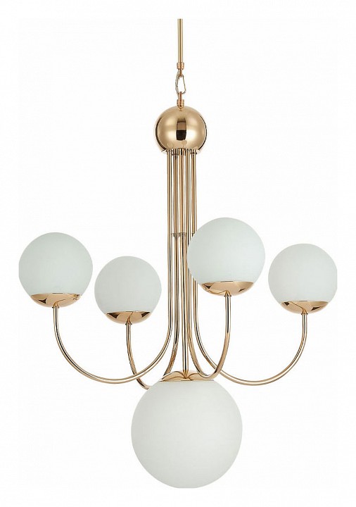 Подвесная люстра ST-Luce Avellino SL1504.203.05 | ST-Luce SL1504.203.05