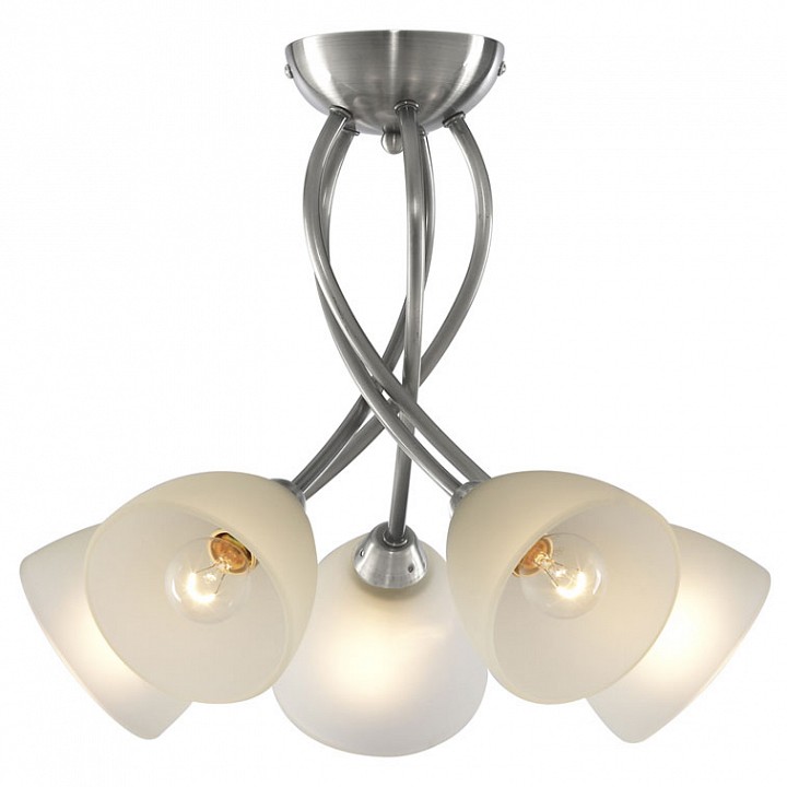 Потолочная люстра Arte Lamp Nikki A2576PL-5SS | Arte Lamp ARA2576PL_5SS